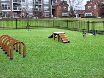 Dog park